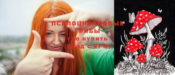 гашик Армянск