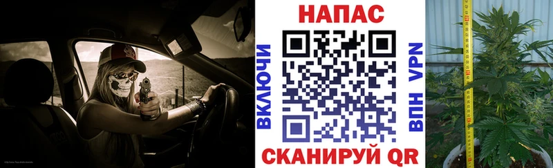 Марихуана семена  Островной 